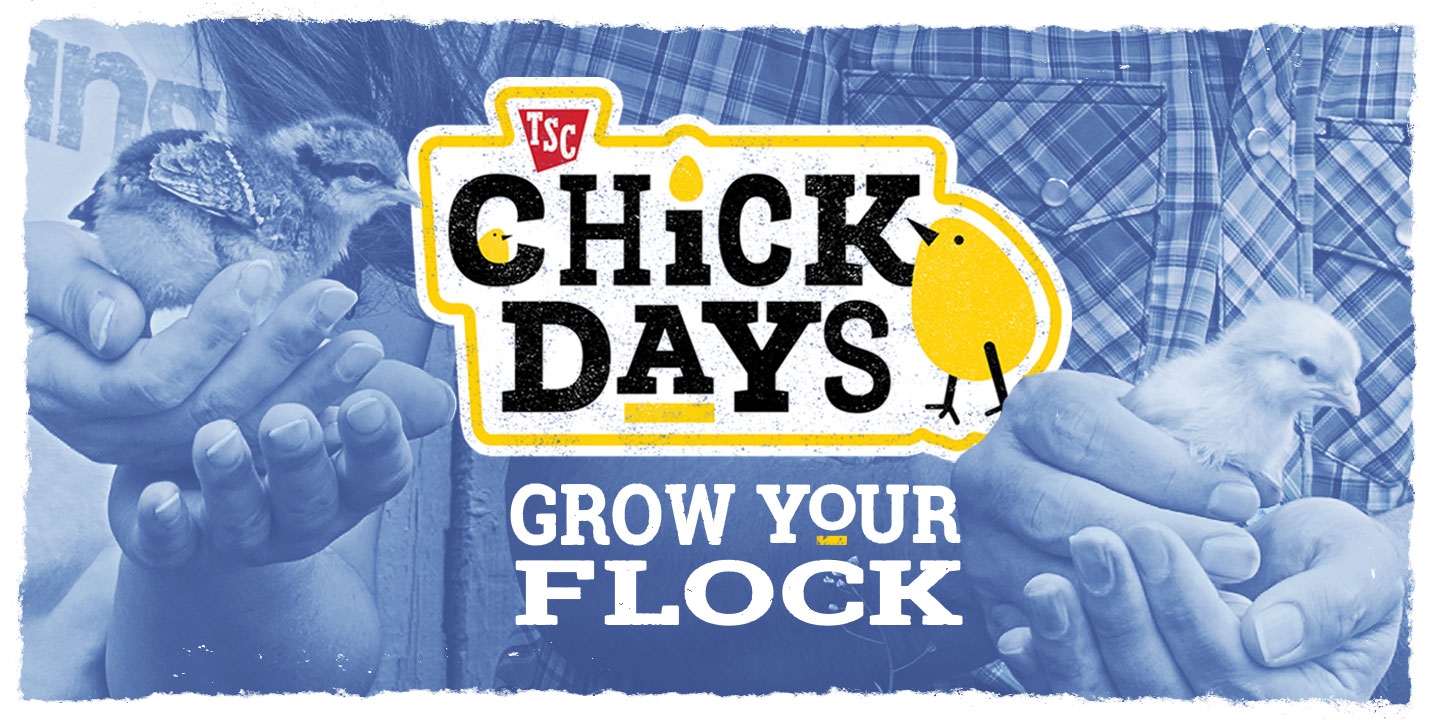 Chick Days Tractor Supply Co.