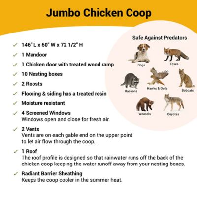 Image showing  Jumbo Chicken Coop, 30 Chicken Capacity