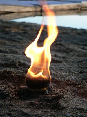 Image showing 6 th Lightning Nugget Fire Starters, 50-Pack