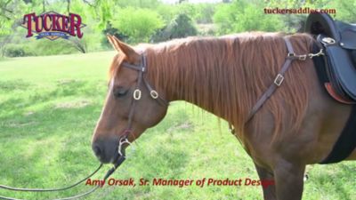 Image showing  5/8 in. x 9 ft. Brown Biothane Single Rein