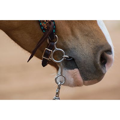 Image showing  5 in. Shank Junior Cow Horse Sweet Iron Horse Bit, 5 in. Cheek, 5 in. Mouth, Stage B