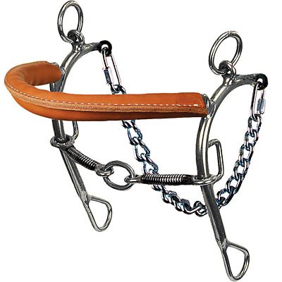 Reinsman 8 in. Shank Sharon Camarillo Sweet Iron Bit, 8 in. Cheek, 5-1/2 in. Mouth, Stage E