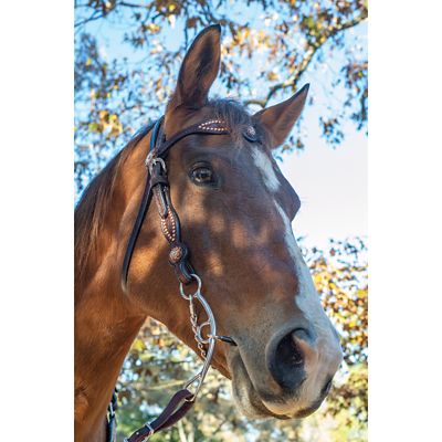 Image showing  7 in. Shank Josey-Mitchell Skinny Arch Sweet Iron Lift Bit, 7 in. Cheek, 5-1/2 in. Mouth, Stage C