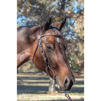 Image showing  8-1/2 in. Josey-Mitchell Sweet Iron Gooseneck Go-Around Bit, 8-1/2 in. Cheek, 5-1/2 in. Mouth, Stage E