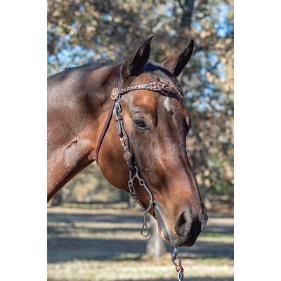 Image showing  8-1/2 in. Josey-Mitchell Sweet Iron Gooseneck Go-Around Bit, 8-1/2 in. Cheek, 5-1/2 in. Mouth, Stage E