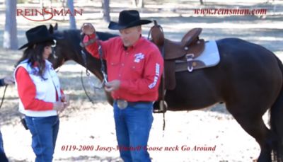 Image showing  8-1/2 in. Josey-Mitchell Sweet Iron Gooseneck Go-Around Bit, 8-1/2 in. Cheek, 5-1/2 in. Mouth, Stage E