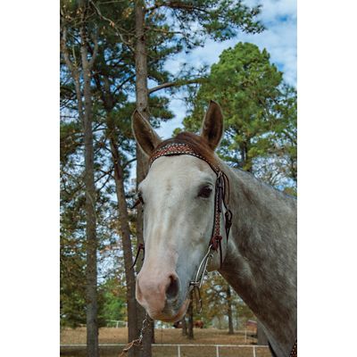 Image showing  7-1/2 in. Josey Banana Short Shank Sweet Iron Gag Bit, 7-1/2 in. Cheek, 5-1/2 in. Mouth, Stage C