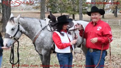 Image showing  7-1/2 in. Josey Banana Short Shank Sweet Iron Gag Bit, 7-1/2 in. Cheek, 5-1/2 in. Mouth, Stage C