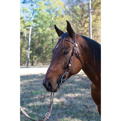 Image showing  7 in. Shank Josey Mattie Sweet Iron Gag Bit, 7 in. Cheek, 5-1/2 in. Mouth, Stage C