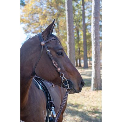 Image showing  7 in. Shank Josey Mattie Sweet Iron Gag Bit, 7 in. Cheek, 5-1/2 in. Mouth, Stage C