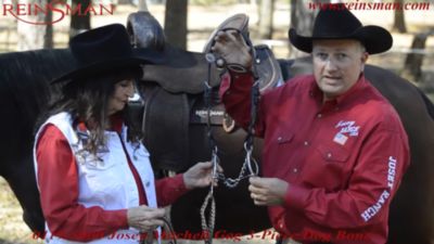 Image showing  7 in. Shank Josey Mattie Sweet Iron Gag Bit, 7 in. Cheek, 5-1/2 in. Mouth, Stage C