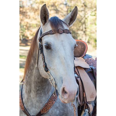 Image showing  7 in. 3 pc. Josey-Mitchell Sweet Iron Fast Gag Bit, 7 in. Cheek, 5-1/2 in. Mouth, Stage C