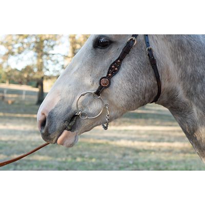 Image showing  4 in. Josey-Mitchell Sweet Iron Short Stop Bit, 4 in. Cheek, 5-1/2 in. Mouth, Stage B