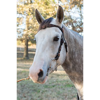 Image showing  4 in. Josey-Mitchell Sweet Iron Short Stop Bit, 4 in. Cheek, 5-1/2 in. Mouth, Stage B