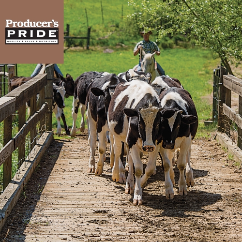 Exclusive Brands Tractor Supply Co.