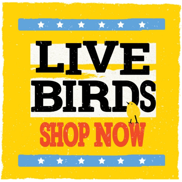 Chick Days Tractor Supply Co