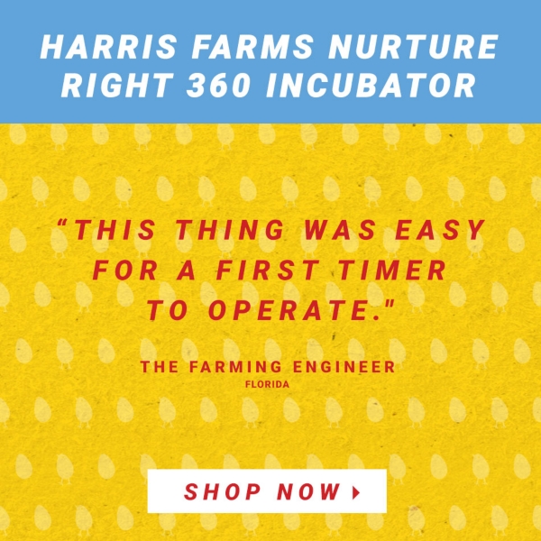 Chick Days Tractor Supply Co.