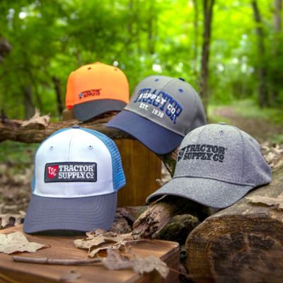 tsc father's day sale