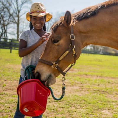 horse feed suppliers near me