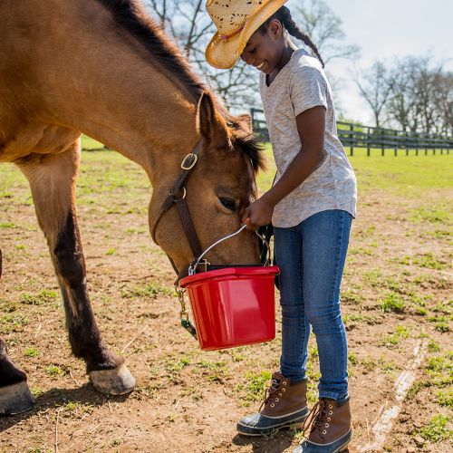 Horse Essentials Tractor Supply Co.