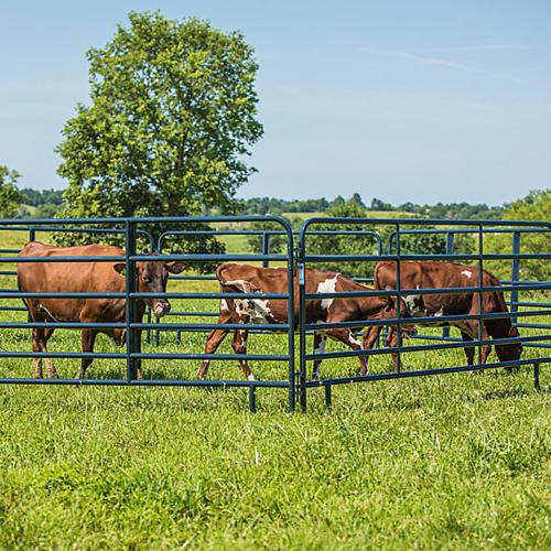 Fencing Tractor Supply Co.