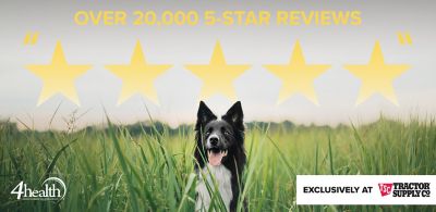 4health dog food website