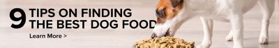 4health dog food website