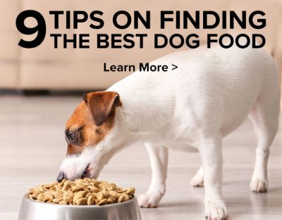 4health dog food sensitive skin