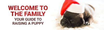 puppy house toy online shopping