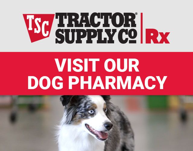 Dog at Tractor Supply Co.