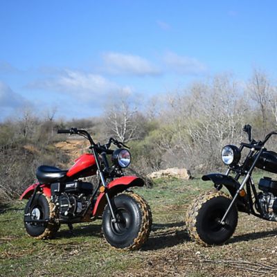 tractor supply coleman mini bike