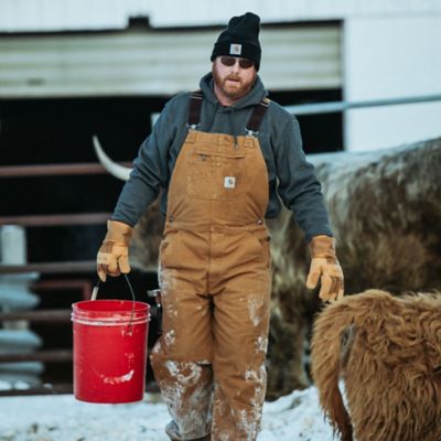tractor supply carhartt shorts