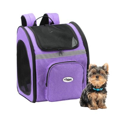 Petique The Backpacker Pet Carrier, Orchid