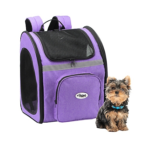 Petique The Backpacker Pet Carrier