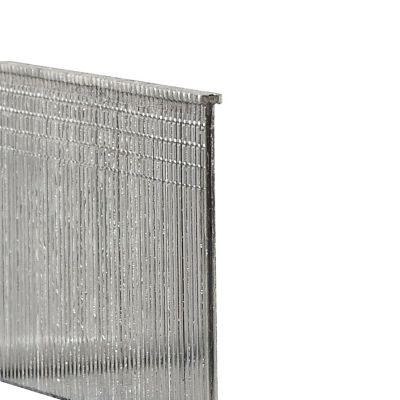 Image showing 5 th Freeman 16 ga. 1-1/2 in. Glue Collated Stainless Steel Straight Finish Nails, 1,000 ct.