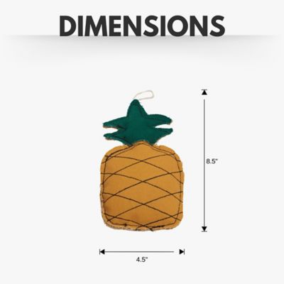Image showing  Sustainable Pineapple-Shaped Canvas and Jute Dog Chew Toy