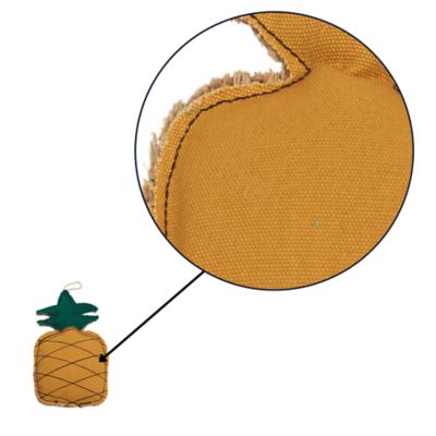 Image showing  Sustainable Pineapple-Shaped Canvas and Jute Dog Chew Toy