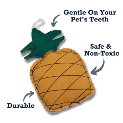 Image showing  Sustainable Pineapple-Shaped Canvas and Jute Dog Chew Toy