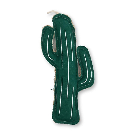 JMP Sustainable Cactus-Shaped Canvas and Jute Dog Chew Toy