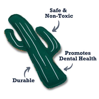 Image showing 6 th Country Living Sustainable Cactus-Shaped Canvas and Jute Dog Chew Toy