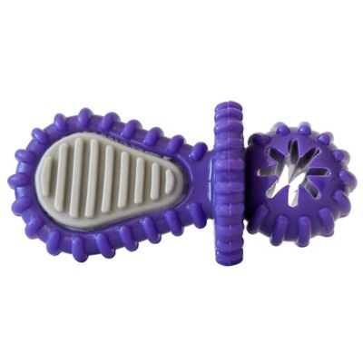 JoJo Modern Pets Recyclable Rubber Pacifier Dental Dog Chew Toy, Purple