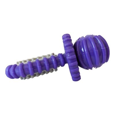Image showing  Recyclable Rubber Pacifier Dental Dog Chew Toy, Purple