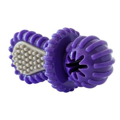 Image showing  Recyclable Rubber Pacifier Dental Dog Chew Toy, Purple
