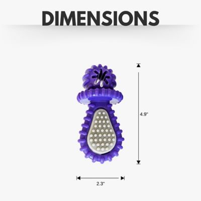 Image showing  Recyclable Rubber Pacifier Dental Dog Chew Toy, Purple