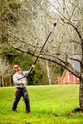 Image showing 6 th Oregon 8 in. AdvanceCut Chainsaw Chain, 3/8 in. Pitch, 0.050 in. Gauge, 33 Drive Links