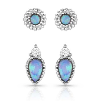 Montana Silversmiths Charming Duo Earrings