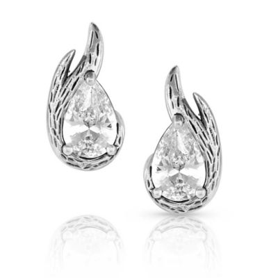 Montana Silversmiths Frozen Post Earrings, KTER5332