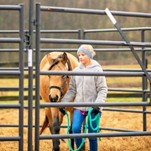 CountyLine Tractor Supply. Co.