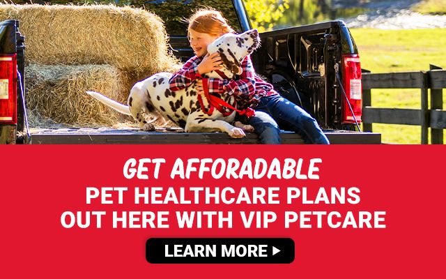 PetVet Clinic | Tractor Supply Co.