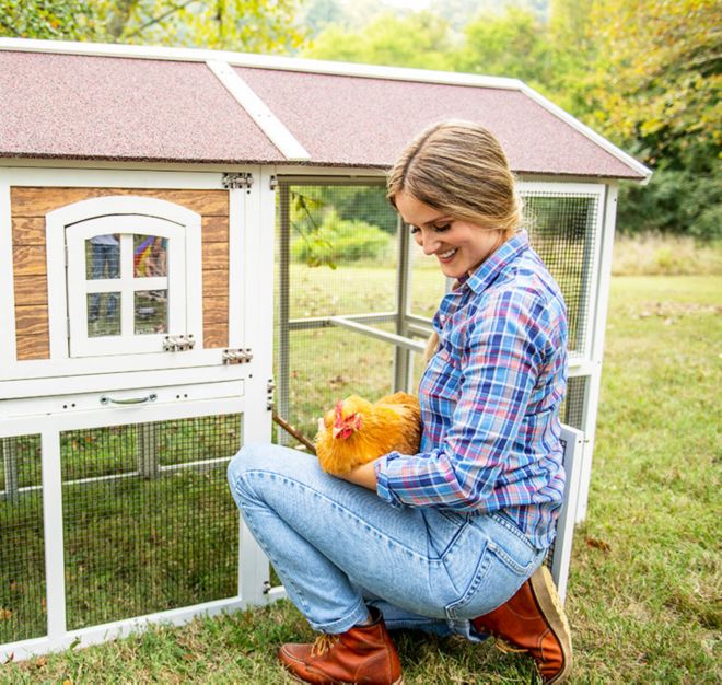 Chick Days Live Chicks and Poultry Tractor Supply Co.